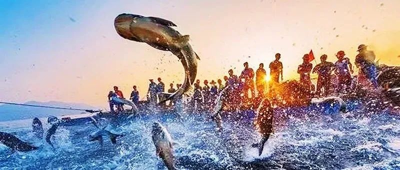 管理沙盘|《跨部门沟通与协作》沙盘课程—捕鱼迈瑞斯活动策划-烟台-威海-青岛-济南15年专业团建活动策划服务商迈瑞斯活动策划