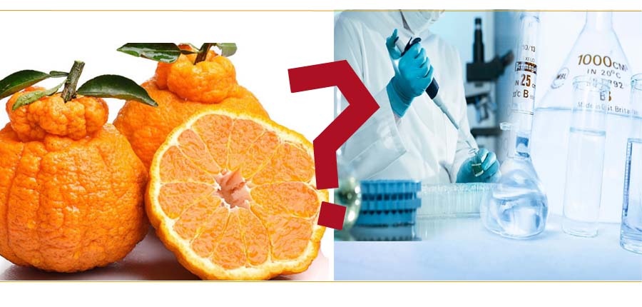 经典销售团队谈判项目—超级销售迈瑞斯活动策划-烟台-威海-青岛-济南15年专业团建活动策划服务商迈瑞斯活动策划