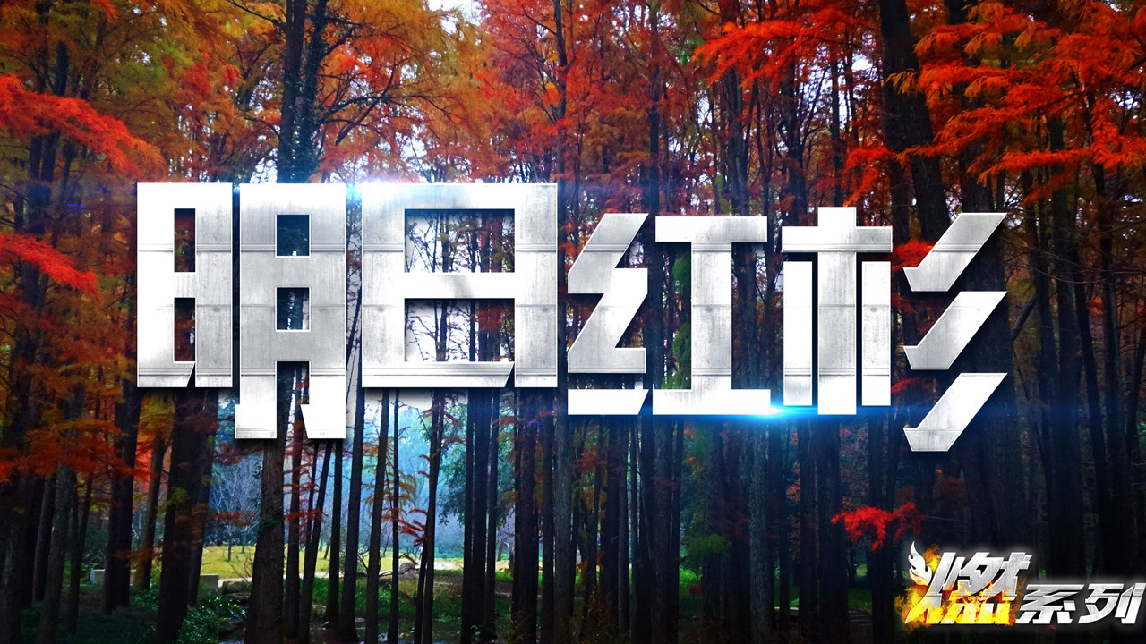 明日红杉——95后新人培训系列课程迈瑞斯活动策划-烟台-威海-青岛-济南15年专业团建活动策划服务商迈瑞斯活动策划