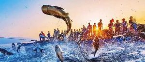 管理沙盘|《跨部门沟通与协作》沙盘课程—捕鱼迈瑞斯活动策划-烟台-威海-青岛-济南15年专业团建活动策划服务商迈瑞斯活动策划