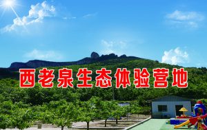 济南·南部山区—西老泉营地迈瑞斯活动策划-烟台-威海-青岛-济南15年专业团建活动策划服务商迈瑞斯活动策划