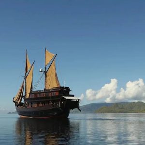 【主题团建推荐 | 扬帆起航】让我们一起扬帆起航,打造专属于自己的战舰迈瑞斯活动策划-烟台-威海-青岛-济南15年专业团建活动策划服务商迈瑞斯活动策划