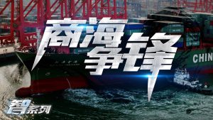 组织进化论—商海争锋迈瑞斯活动策划-烟台-威海-青岛-济南15年专业团建活动策划服务商迈瑞斯活动策划