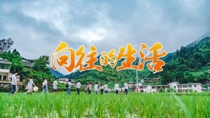 田园生活体验主题—向往的生活迈瑞斯活动策划-烟台-威海-青岛-济南15年专业团建活动策划服务商迈瑞斯活动策划