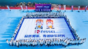 迈瑞斯活动策划-烟台-威海-青岛-济南15年专业团建活动策划服务商